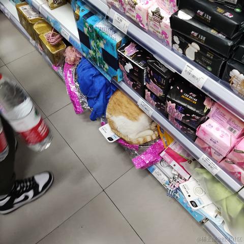 Bamwolf于2022-11-29 18:50发布的图片