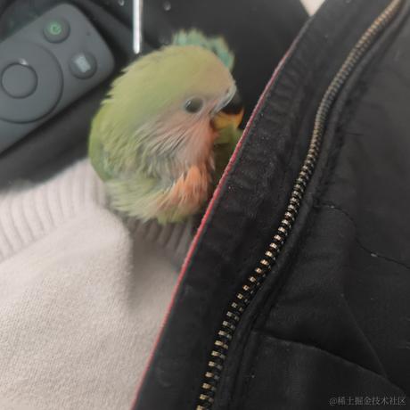 晚美无瑕于2022-12-13 13:59发布的图片