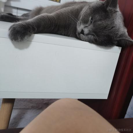 浪矢先生的猫于2021-07-10 08:24发布的图片