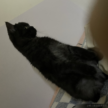 heronCCC于2023-05-19 08:57发布的图片