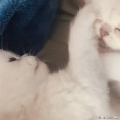 冬日米球于2022-11-24 09:05发布的图片