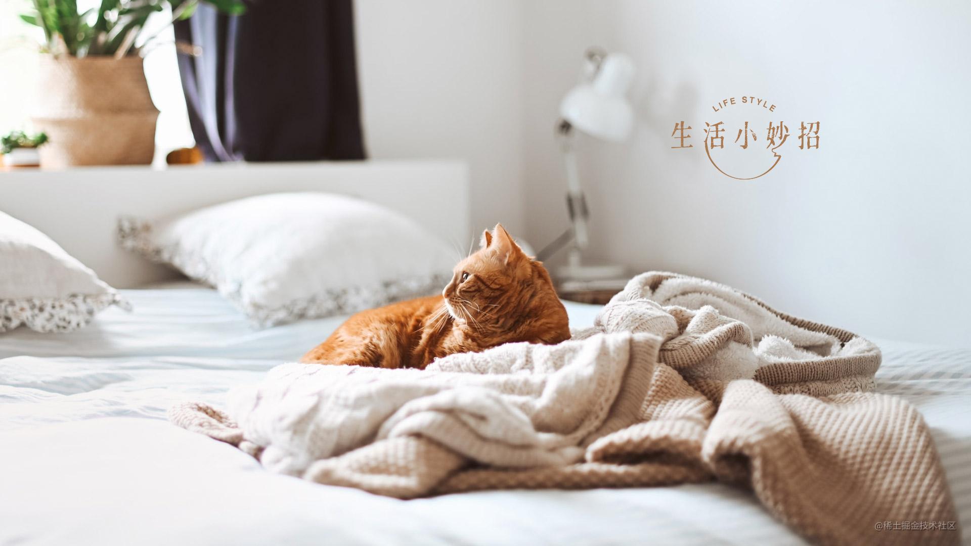 前端面试难点-js篇
