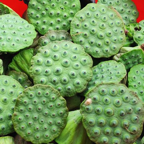 黔灵山的程序猿于2021-09-13 17:07发布的图片