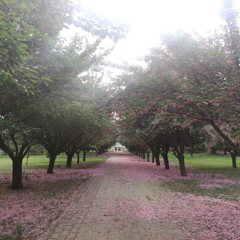 天火QAQ于2023-03-17 23:51发布的图片