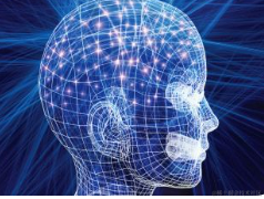 Neural Networks 神经网络