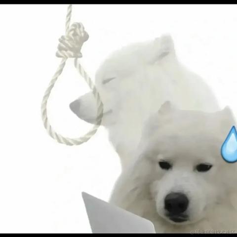 本喵是FW于2023-04-20 08:04发布的图片