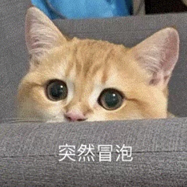 手可摘棉花于2022-01-20 19:59发布的图片