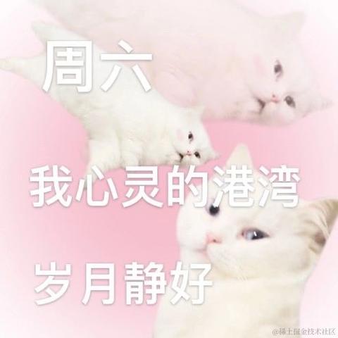 获得小狗青睐的骨头于2022-04-24 15:25发布的图片