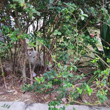 乃宝可爱捏于2022-11-15 09:49发布的图片