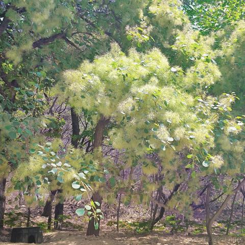violetBlue于2023-05-10 22:18发布的图片