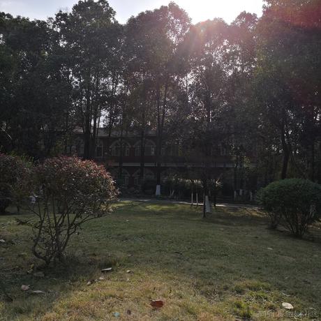 sherlockkid7于2022-12-18 15:03发布的图片