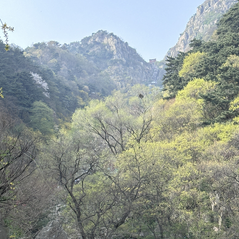 小不忍则卖大萌啊于2024-04-22 12:04发布的图片