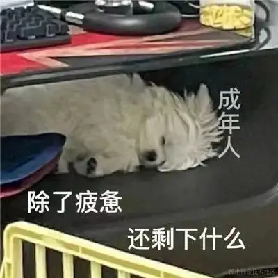 1101700819100_.pic.jpg