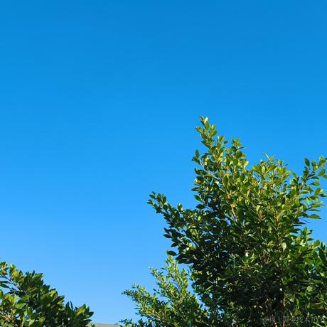 持续精进的阿兵于2022-11-13 08:07发布的图片