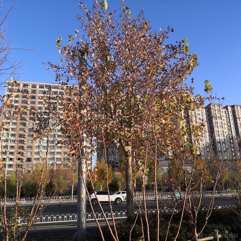 RcubyN70于2022-11-26 09:34发布的图片