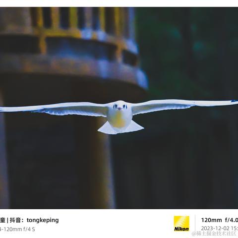 光影童于2023-12-11 11:15发布的图片