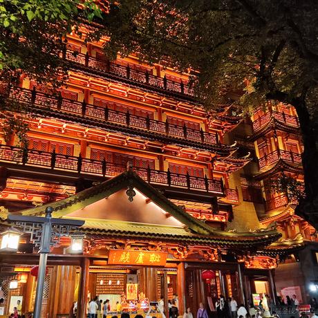 Haaaaai于2023-04-07 22:39发布的图片