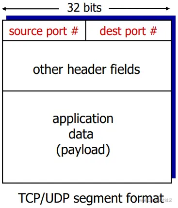 TCP/UDP segment format.png