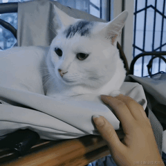 已注销于2021-06-03 10:35发布的图片