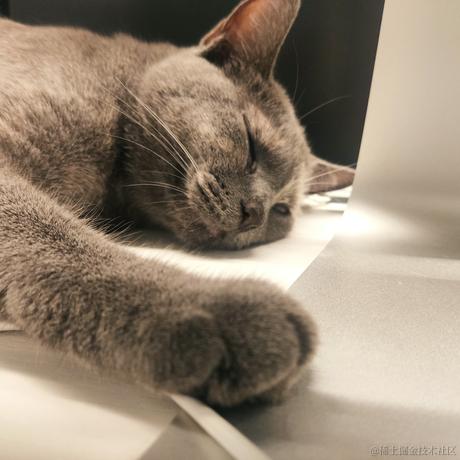 p迷雾于2021-05-21 21:51发布的图片