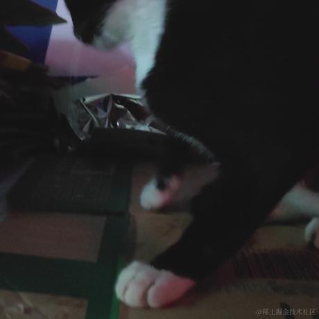 Ymo于2022-11-26 10:36发布的图片