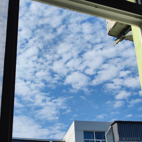 YDYK于2023-05-29 11:41发布的图片