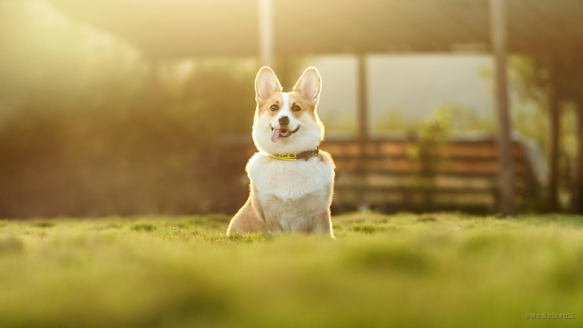 开源