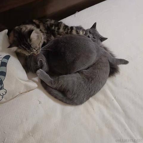 小小明同学于2022-01-07 09:09发布的图片