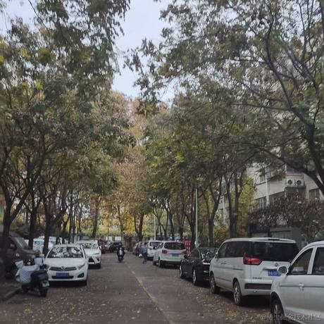 接受然然的爱于2022-11-24 18:07发布的图片