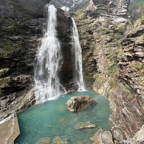 秋秋秋糖于2023-04-17 23:23发布的图片