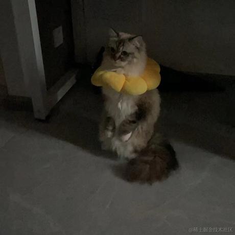 Insilent于2022-11-26 08:12发布的图片