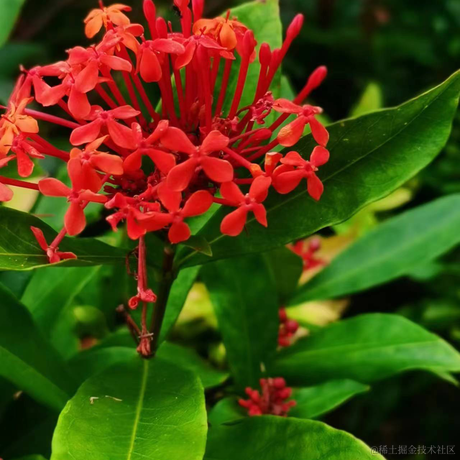 来吃红烧肉于2022-11-27 13:16发布的图片