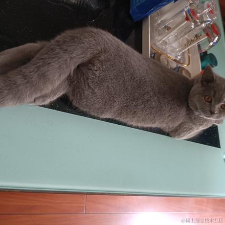 尤依莉于2022-06-23 14:28发布的图片