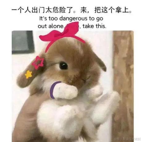 芝士贝极星于2022-11-22 08:11发布的图片