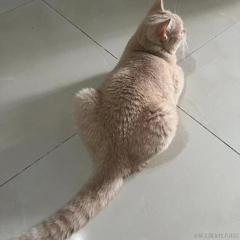 ByteFlow于2023-10-07 09:54发布的图片