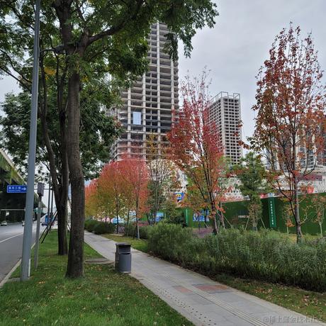 贴贴乃宝于2022-11-15 09:38发布的图片