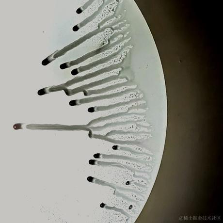 暮春于2022-11-19 15:50发布的图片