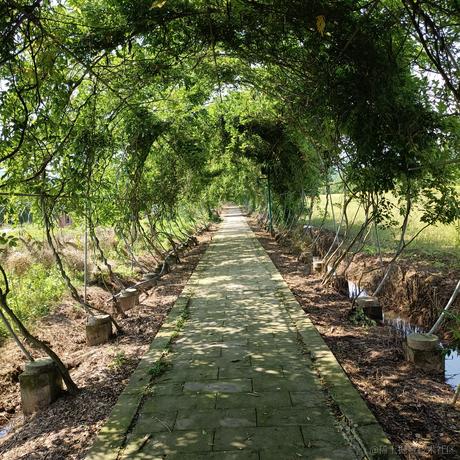 跟我一起秃秃秃于2022-12-14 11:18发布的图片