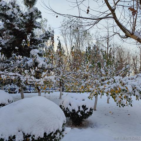 TGyan于2022-11-30 07:47发布的图片