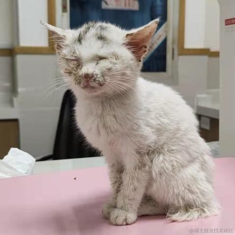 港岛阿妹于2021-11-25 13:39发布的图片