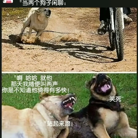 方寸哒哒哒于2023-05-26 09:58发布的图片
