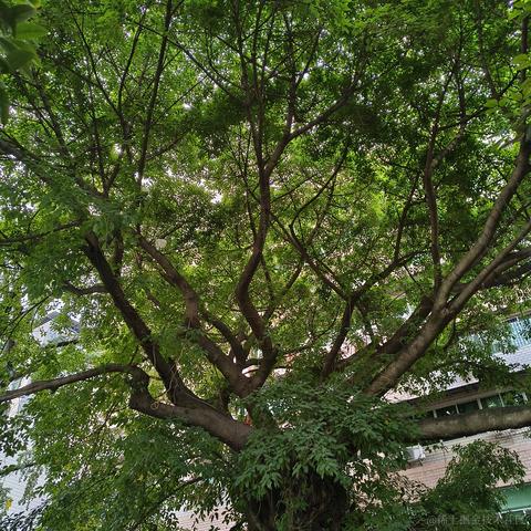 心愛今天吃什么于2023-07-19 09:04发布的图片