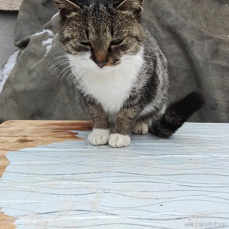 电子木鱼于2022-12-29 11:20发布的图片