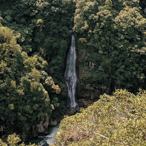 小栗帽永远的神于2022-11-25 09:36发布的图片