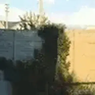 半修缘于2023-08-18 16:28发布的图片