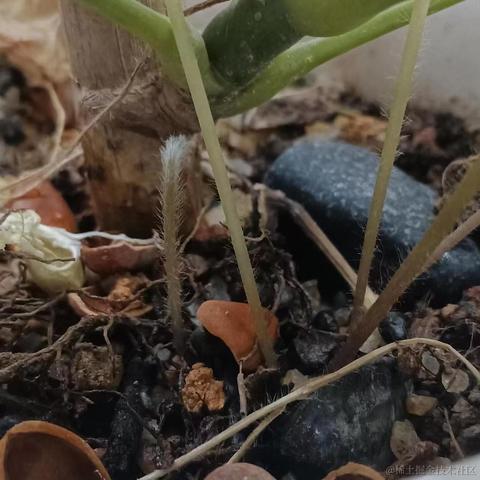 zue于2023-12-27 14:04发布的图片