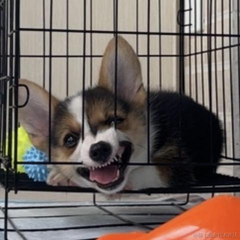 菜鸡爪洼于2021-12-23 09:35发布的图片