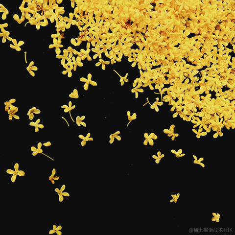 红毛丹于2023-10-10 10:08发布的图片