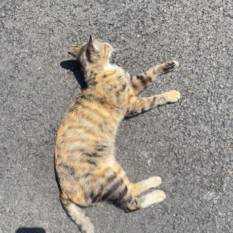 103于2022-04-08 22:08发布的图片