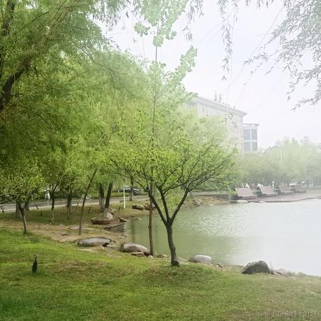 耶耶_于2023-04-03 21:48发布的图片